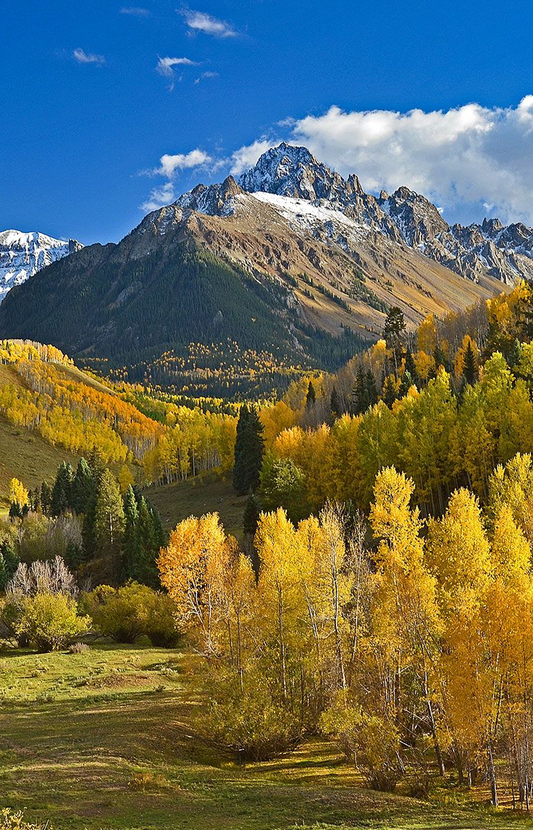 Colorado Fall Colors